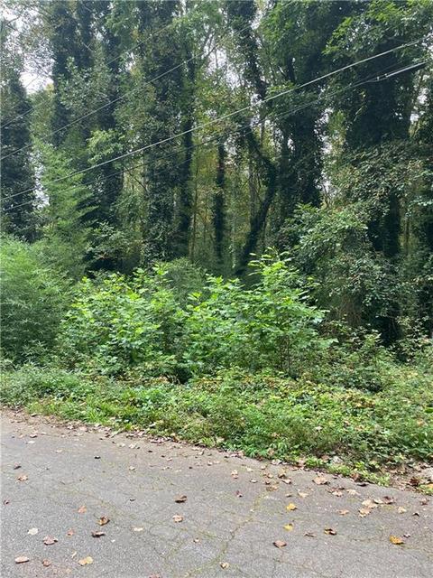 Lot 38 Tonowanda Drive, Acworth, GA 30102