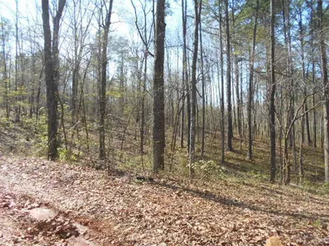 0 Nebo Rd, Dallas, GA 30141