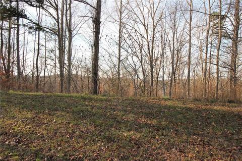853 Rockhound Dr, Dahlonega, GA 30533