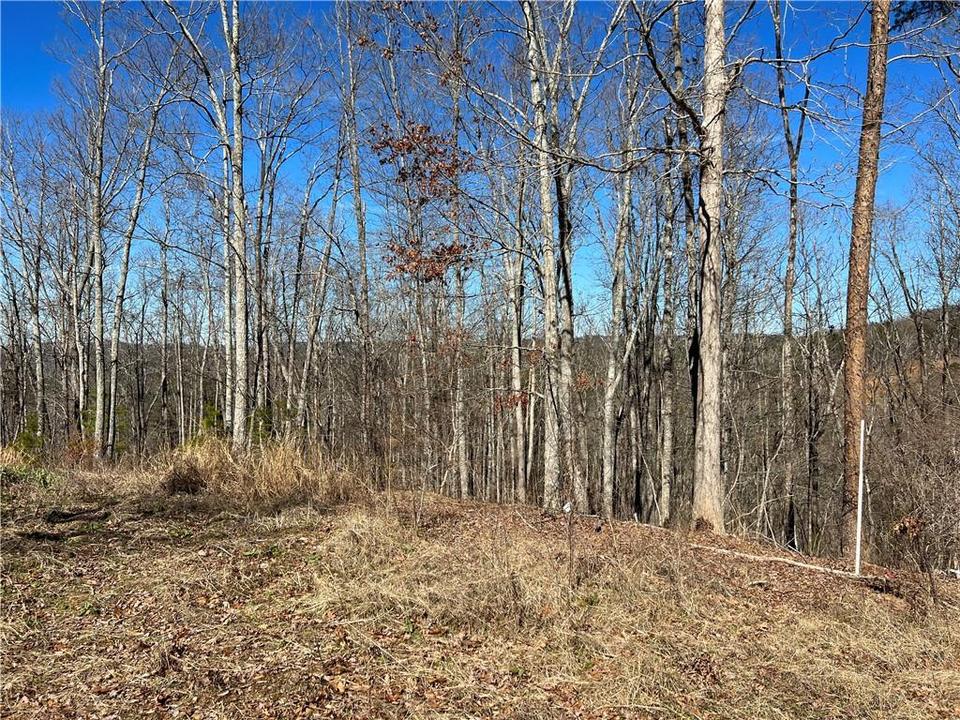 972 Family Acres Ln, Ranger, GA 30734 27 Photos MLS 7005571 Movoto