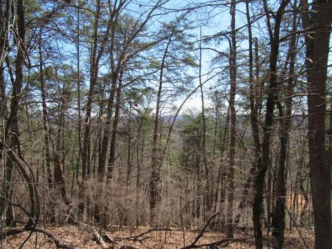 33 Crown Mountain Way, Dahlonega, GA 30533