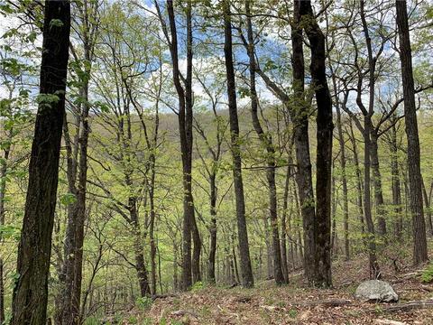 897 Deer Run Rdg, Big Canoe, GA 30143