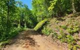L336 Brushy Top Drive, Ellijay, GA 30540