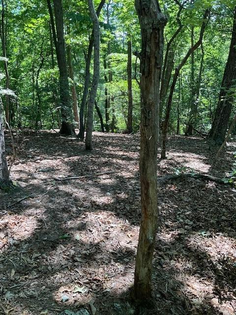 616 Wake Robin Dr, Big Canoe, GA 30143