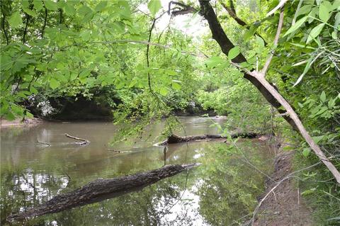 00002 Roy Brown Rd, Buchanan, GA 30113
