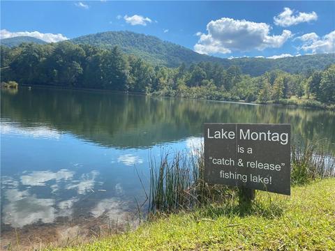 140 Autumn Fern Ln, Ellijay, GA 30536