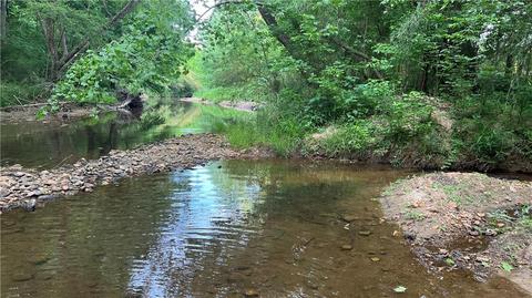 Lot 4 Darby Ford Lane Road, Ball Ground, GA 30107