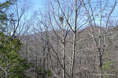 925 Mcelroy Mountain Dr, Big Canoe, GA 30143