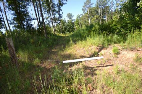 96 Morris Rd, Buchanan, GA 30113 photo 15