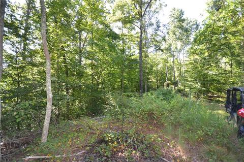 96 Morris Rd, Buchanan, GA 30113 photo 24