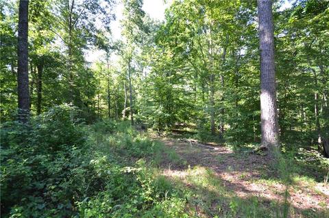 96 Morris Rd, Buchanan, GA 30113 photo 25