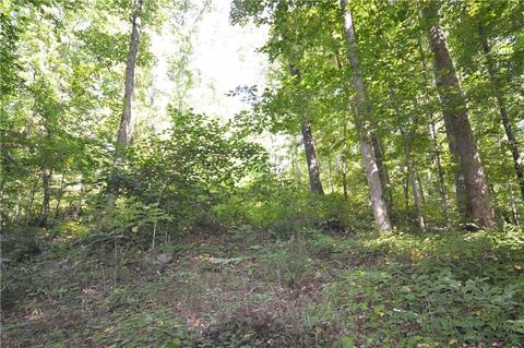 96 Morris Rd, Buchanan, GA 30113 photo 40