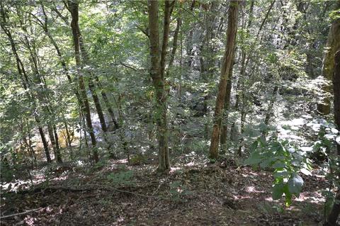 96 Morris Rd, Buchanan, GA 30113 photo 19