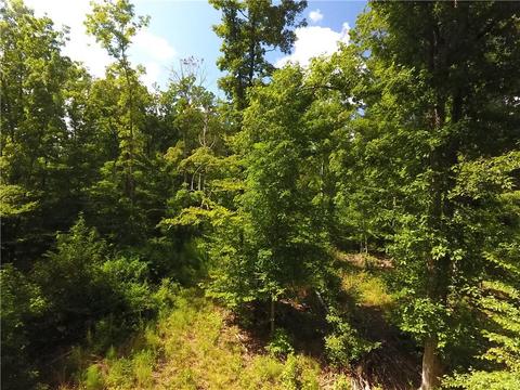 96 Morris Rd, Buchanan, GA 30113 photo 59