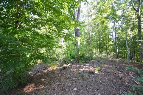 96 Morris Rd, Buchanan, GA 30113 photo 23