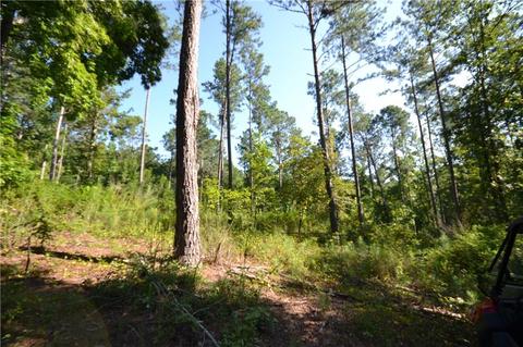 96 Morris Rd, Buchanan, GA 30113 photo 11