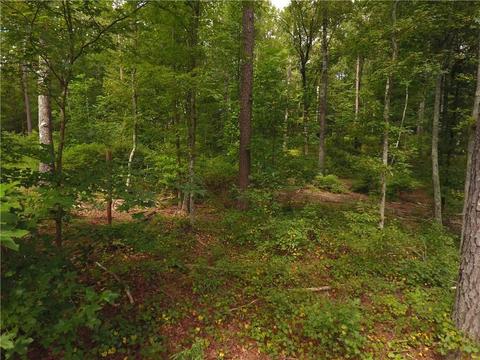 96 Morris Rd, Buchanan, GA 30113 photo 89