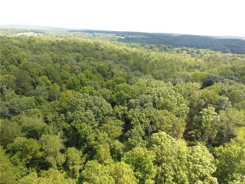 96 Morris Rd, Buchanan, GA 30113 photo 98