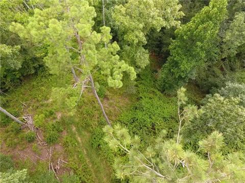 96 Morris Rd, Buchanan, GA 30113 photo 77