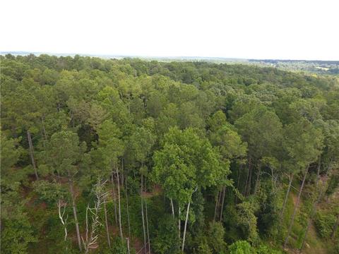 96 Morris Rd, Buchanan, GA 30113 photo 96