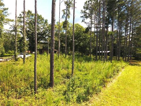 96 Morris Rd, Buchanan, GA 30113 photo 109