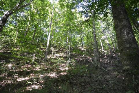 96 Morris Rd, Buchanan, GA 30113 photo 32