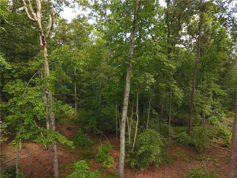 96 Morris Rd, Buchanan, GA 30113 photo 90
