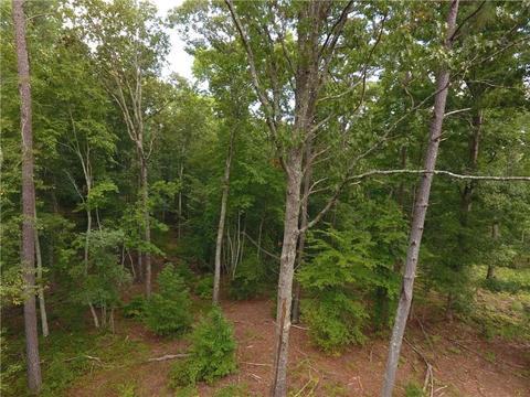 96 Morris Rd, Buchanan, GA 30113 photo 85