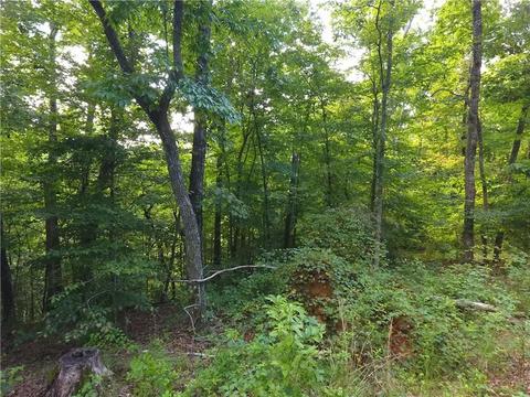 96 Morris Rd, Buchanan, GA 30113 photo 56