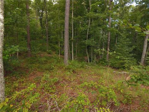 96 Morris Rd, Buchanan, GA 30113 photo 88