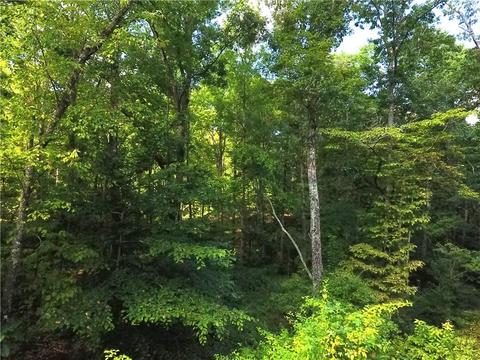 96 Morris Rd, Buchanan, GA 30113 photo 55