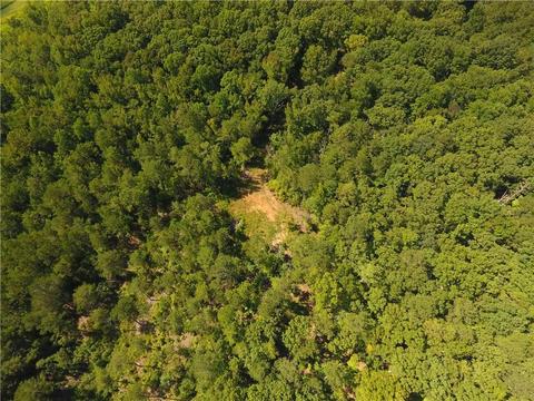 96 Morris Rd, Buchanan, GA 30113 photo 50