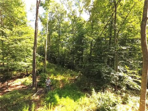 96 Morris Rd, Buchanan, GA 30113 photo 65