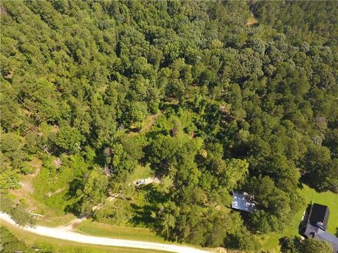 96 Morris Rd, Buchanan, GA 30113 photo 53