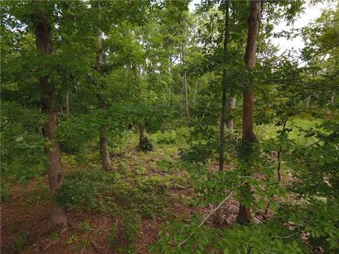 96 Morris Rd, Buchanan, GA 30113 photo 86