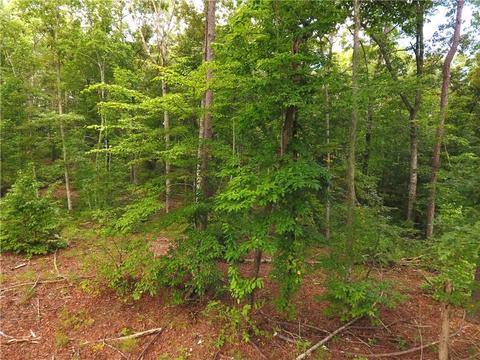 96 Morris Rd, Buchanan, GA 30113 photo 87