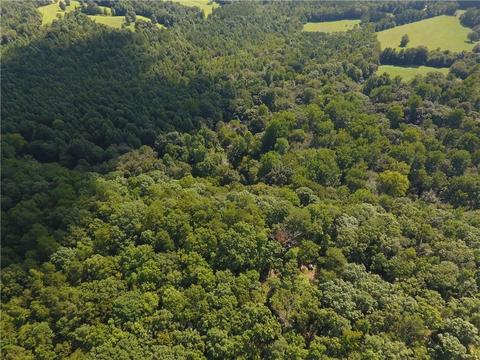 96 Morris Rd, Buchanan, GA 30113 photo 54