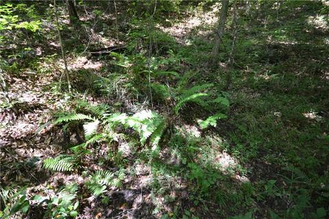 96 Morris Rd, Buchanan, GA 30113 photo 31
