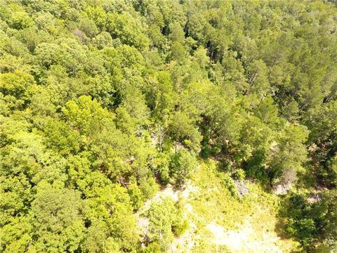 96 Morris Rd, Buchanan, GA 30113 photo 103