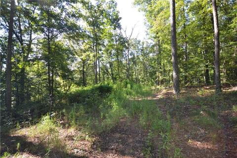 96 Morris Rd, Buchanan, GA 30113 photo 14