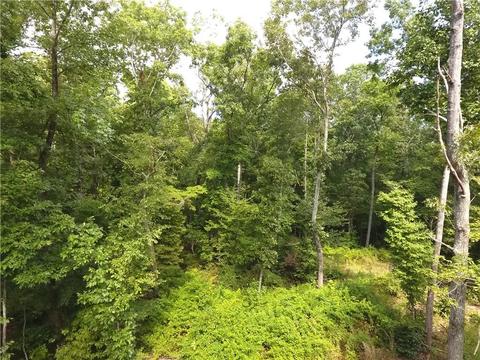 96 Morris Rd, Buchanan, GA 30113 photo 74