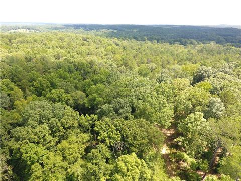 96 Morris Rd, Buchanan, GA 30113 photo 102