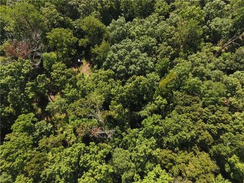 96 Morris Rd, Buchanan, GA 30113 photo 48