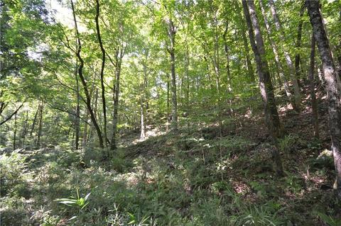 96 Morris Rd, Buchanan, GA 30113 photo 38