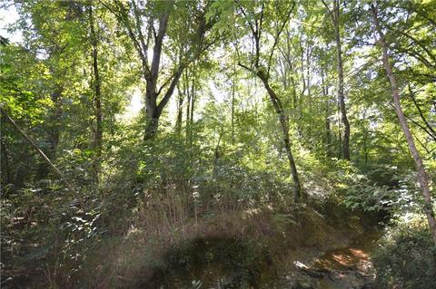 96 Morris Rd, Buchanan, GA 30113 photo 36