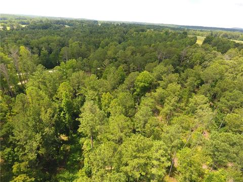 96 Morris Rd, Buchanan, GA 30113 photo 100