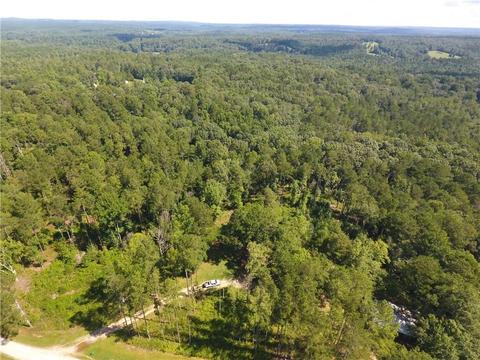96 Morris Rd, Buchanan, GA 30113 photo 52
