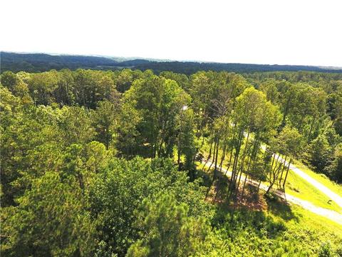 96 Morris Rd, Buchanan, GA 30113 photo 105
