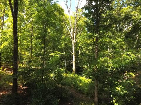 96 Morris Rd, Buchanan, GA 30113 photo 67