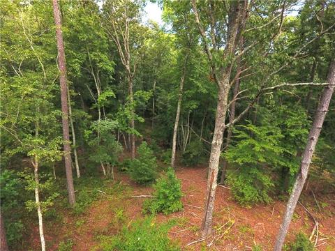 96 Morris Rd, Buchanan, GA 30113 photo 44